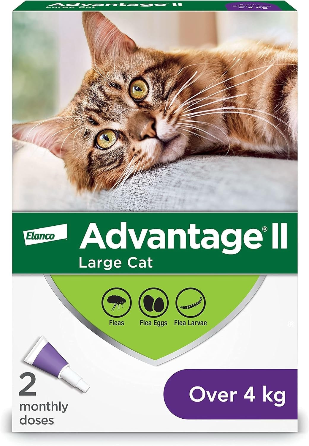 Advantage II Flea Protection for Large Cat