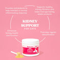 Load image into Gallery viewer, Fera Pets – Kidney Support for Cats – 60 scoops (60g)
