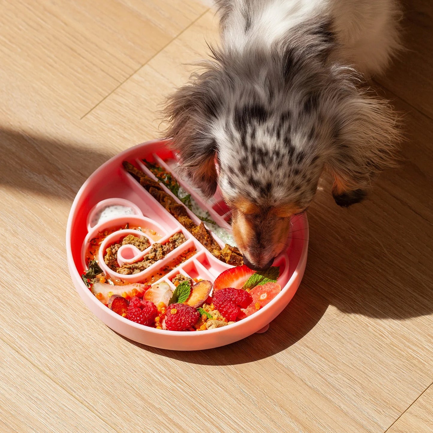 OLLIE B. GOOD zoomies slow feeder bowl | strawberry