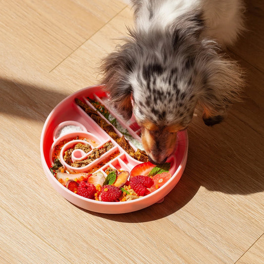 OLLIE B. GOOD zoomies slow feeder bowl | strawberry