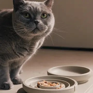 Pino Whisker Friendly Bowl