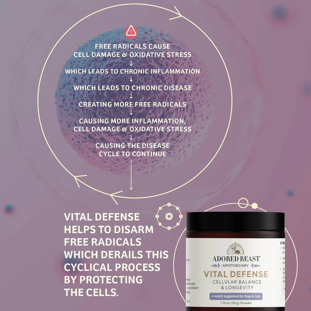 Adored Beast Vital Defense | Cellular Support