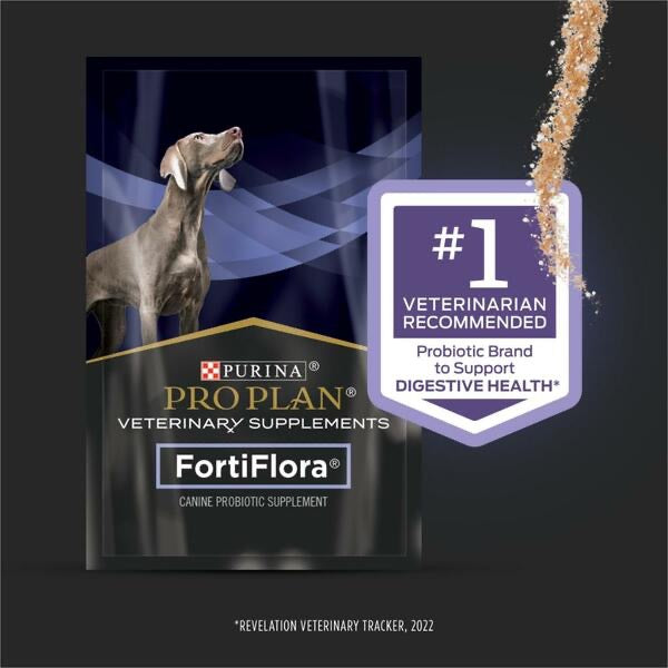 Purina Pro Plan FortiFlora Canine Probiotic 30GM PETPLS