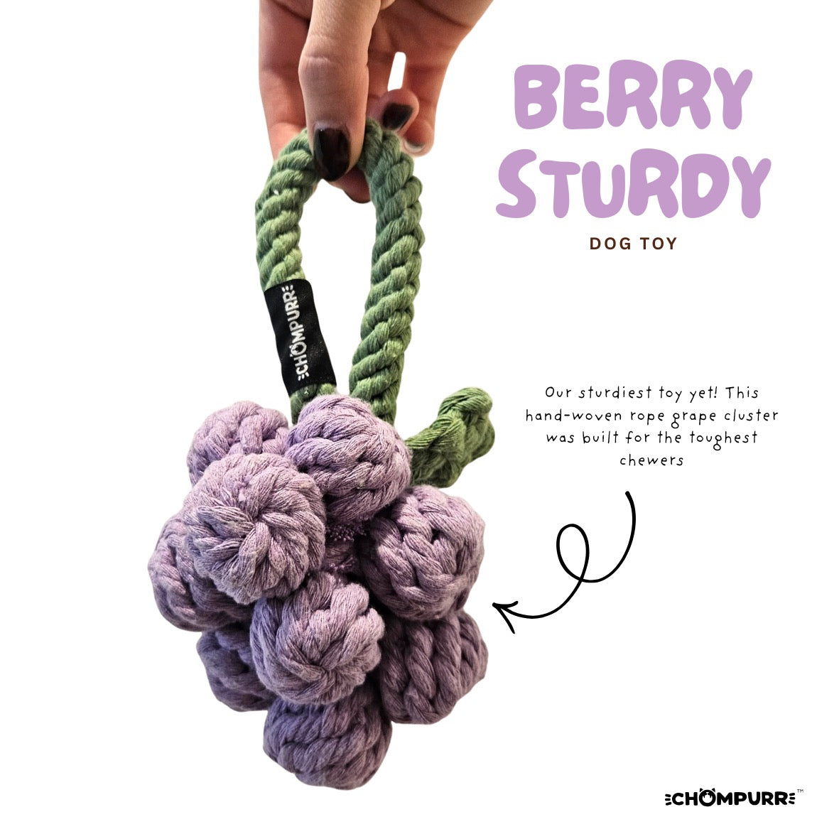 Chompurr Berry Sturdy Dog Toy