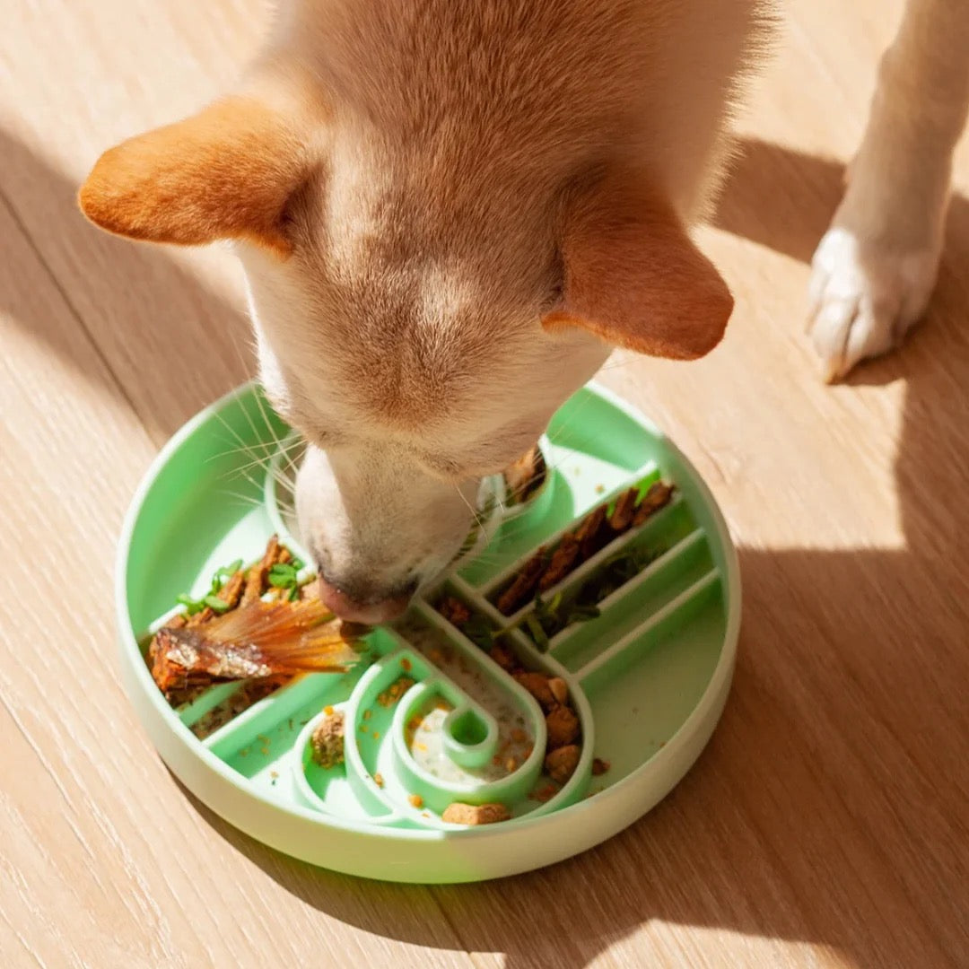 OLLIE B. GOOD zoomies slow feeder bowl | cucumber melon