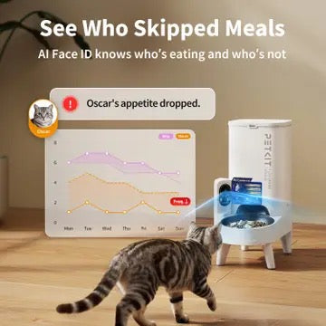 PETKIT Yumshare Solo 2 Automatic Feeder with Camera