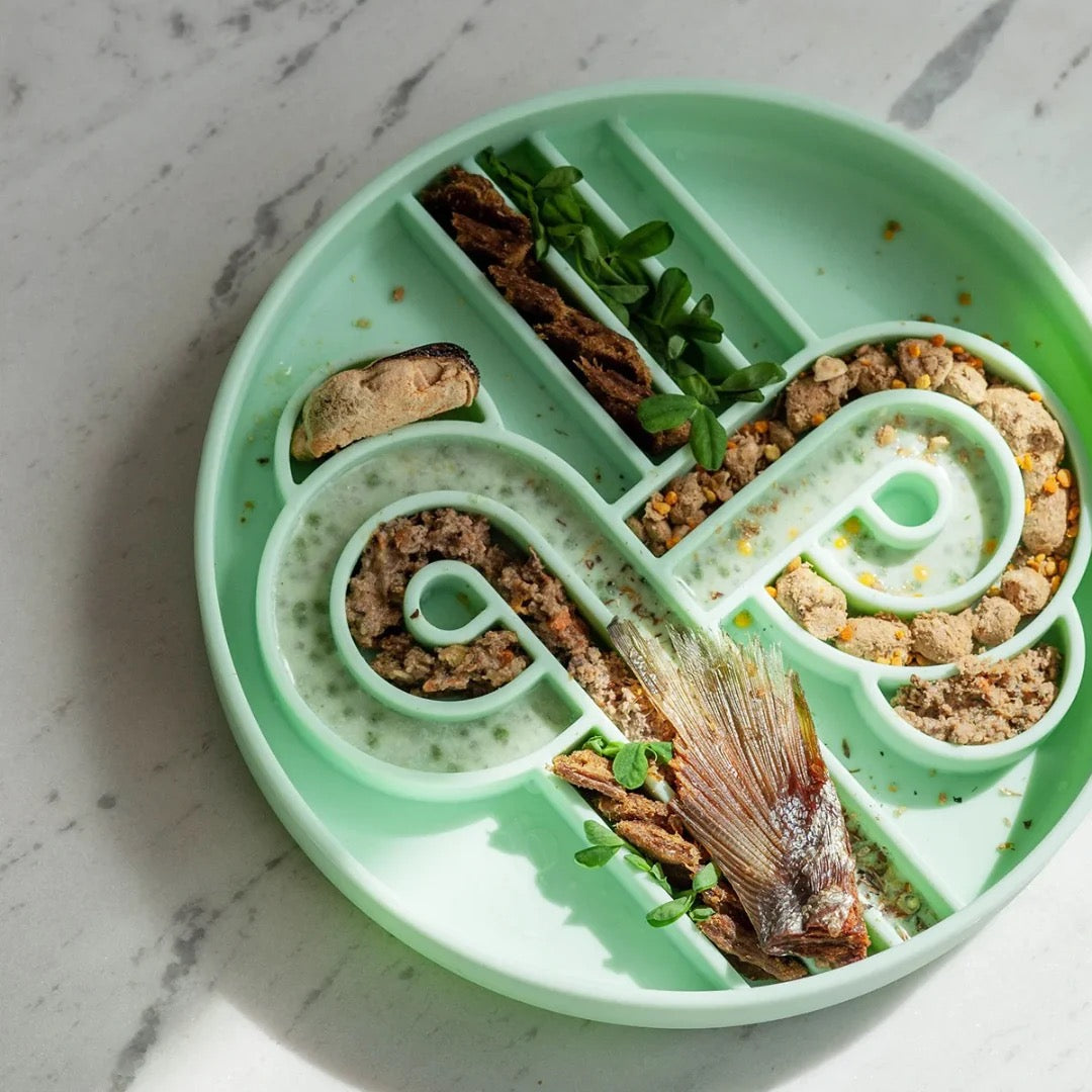 OLLIE B. GOOD zoomies slow feeder bowl | cucumber melon