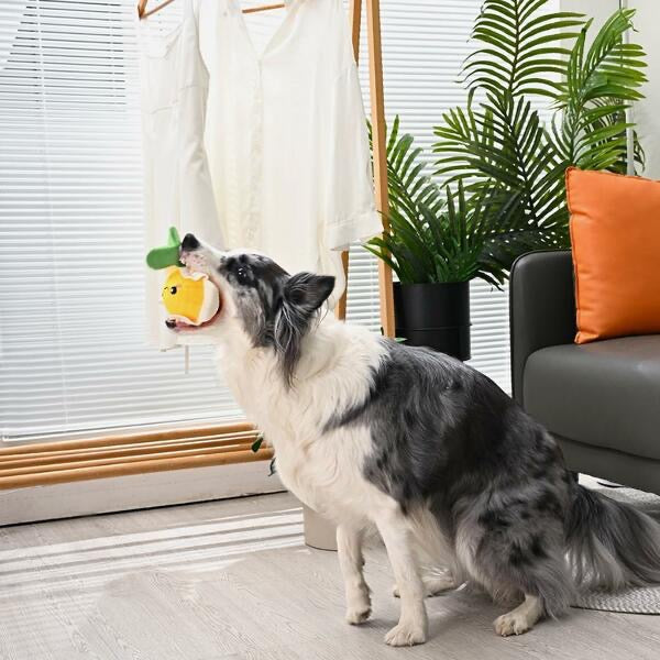 Hug Smart Super Ball Puppy Garden Daisy