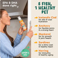 Load image into Gallery viewer, Fam-Pets - Icelandic Wild Caught Fish Oil - 147ml (Spray)
