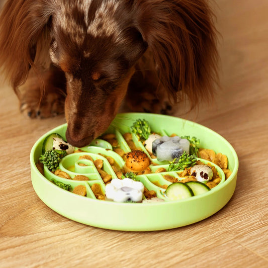 OLLIE B. GOOD zoomies slow feeder bowl | honeydew