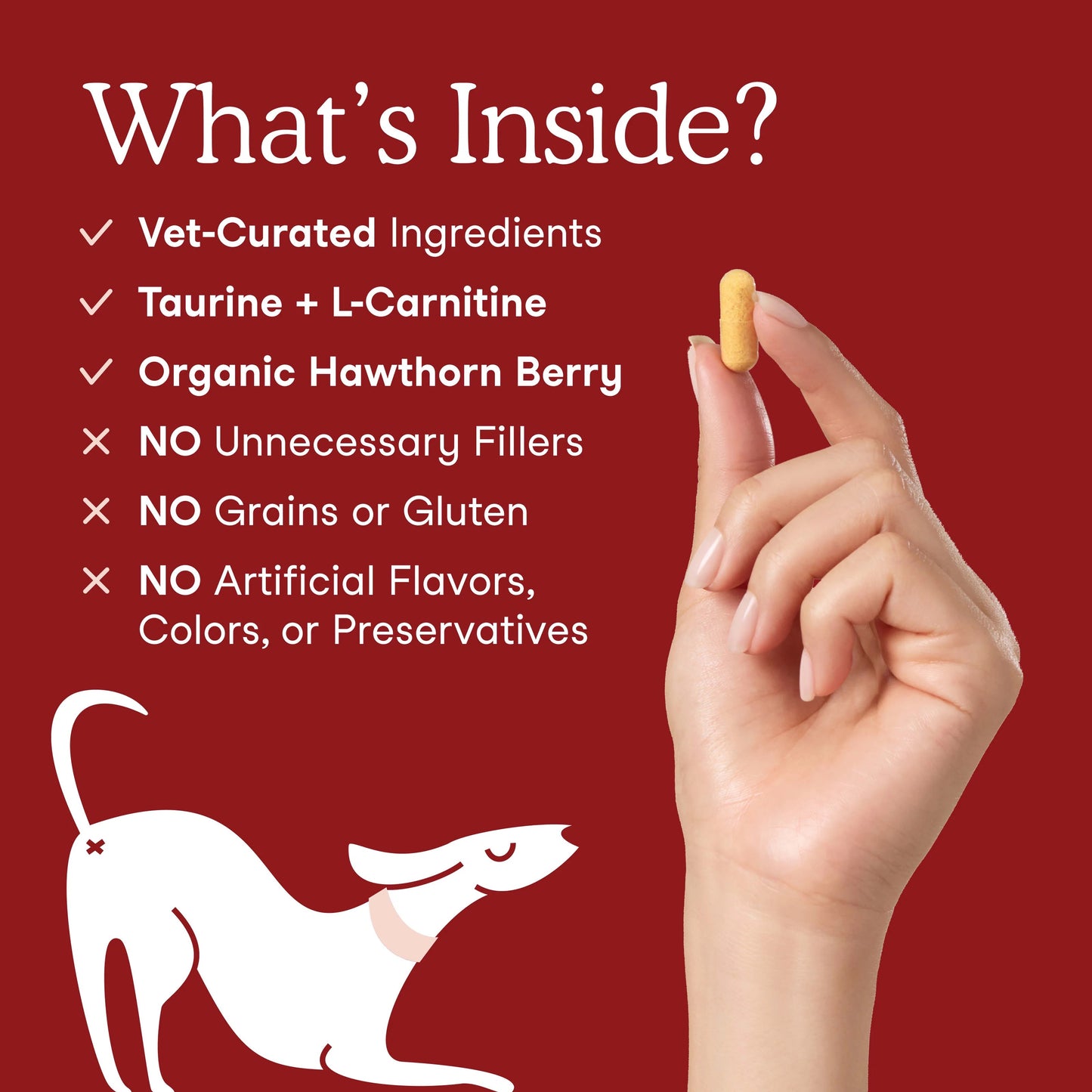 Fera Pets – Cardiac Support for Dogs & Cats – 120 Capsules