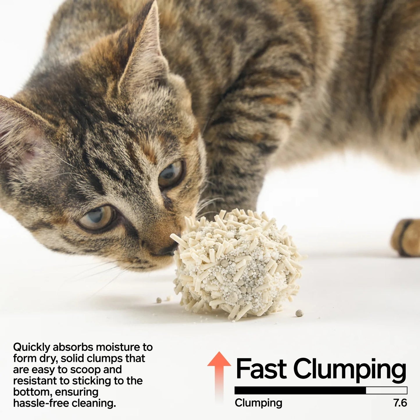 Pidan Cat Litter Tofu 60%, Bentonite Clay 30%, Starch 10% 2.4kg