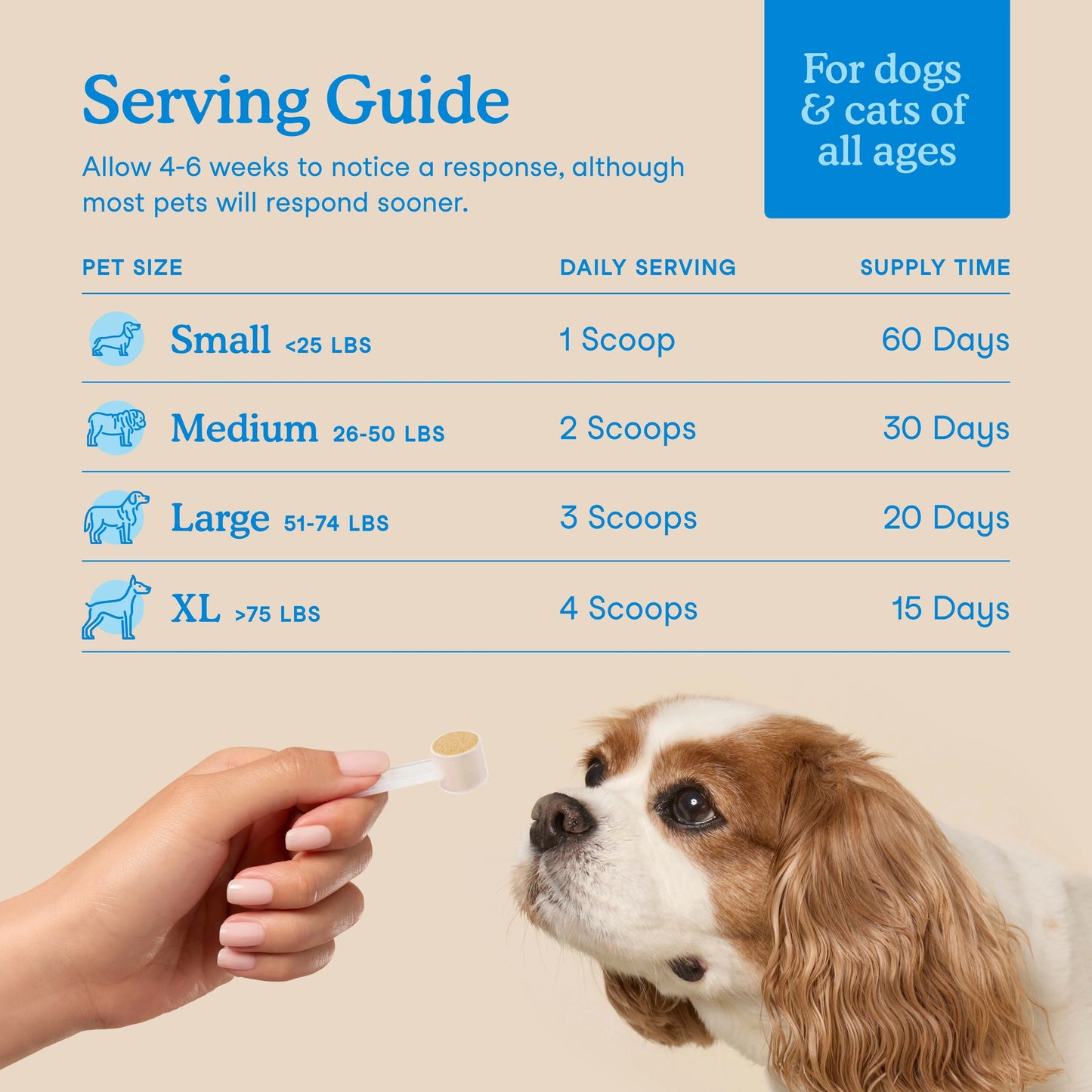 Fera Pets – Dental Support for Dogs & Cats – 60g