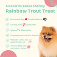 Load image into Gallery viewer, CHARMY PET Dog & Cat Treat Rainbow Trout Filet 75g
