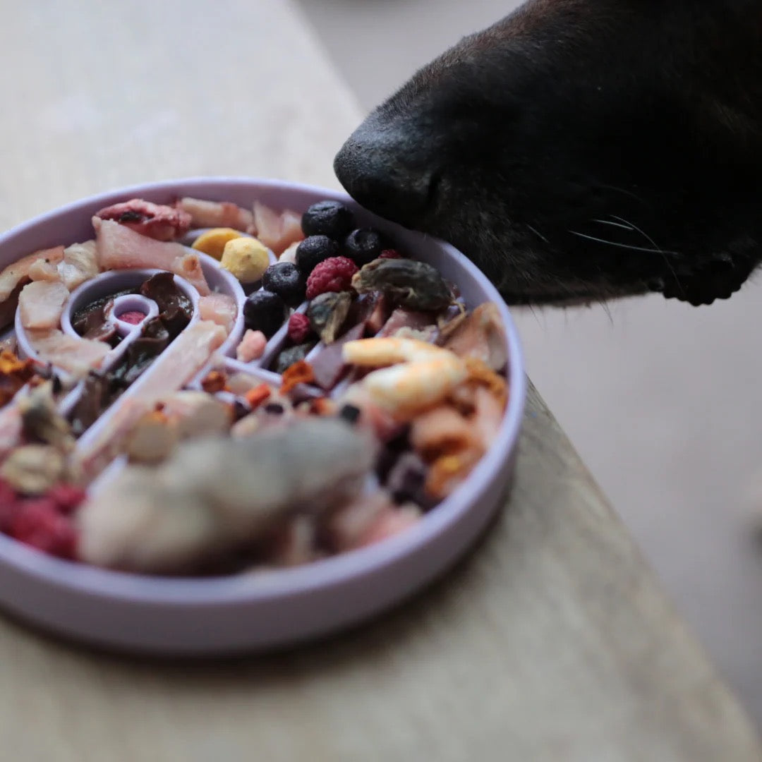 OLLIE B. GOOD zoomies slow feeder bowl | fig