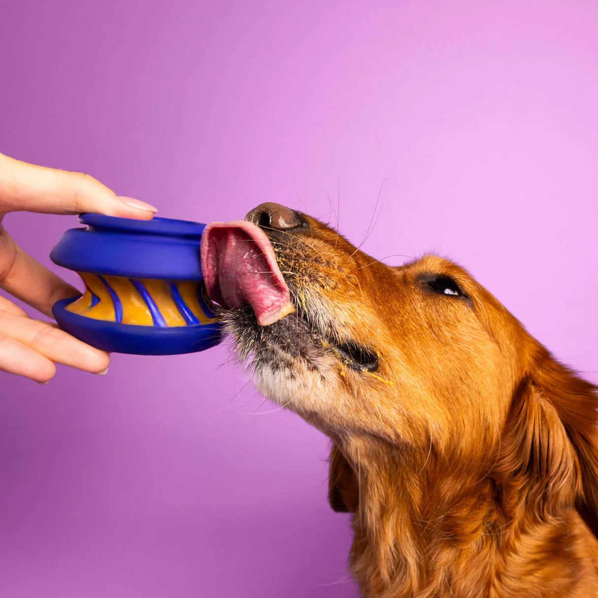 WagLab THE SLOBBER