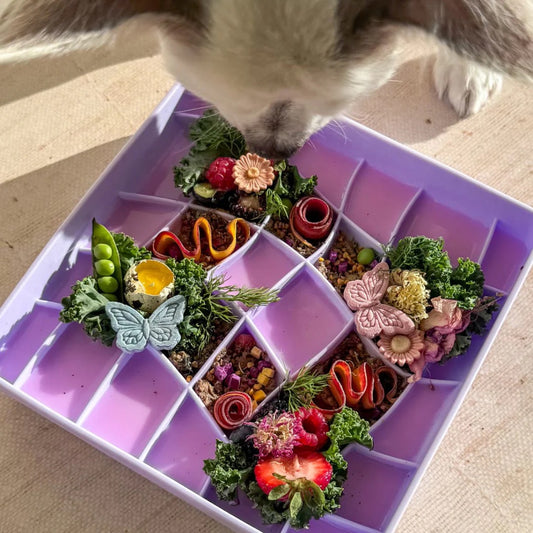 OLLIE B. GOOD wavies slow feeder bowl | viola