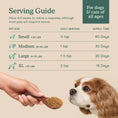 Load image into Gallery viewer, Fera Pets – Wholefood Multivitamin for Dogs & Cats – 180g
