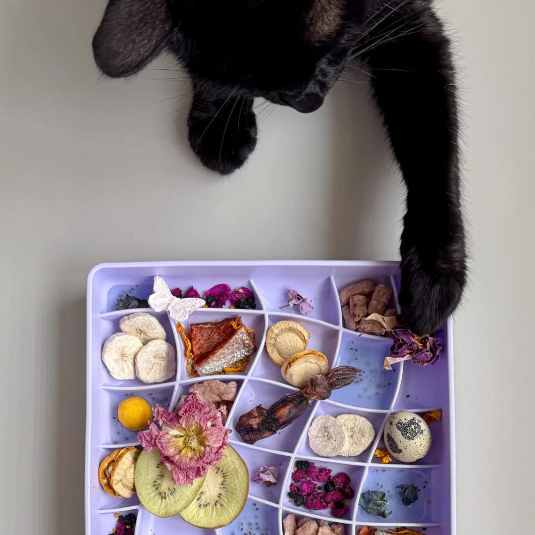 OLLIE B. GOOD wavies slow feeder bowl | viola