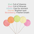 Load image into Gallery viewer, RANOVA Freeze-Dried Lollipops For Cat (Mixed Flavor)
