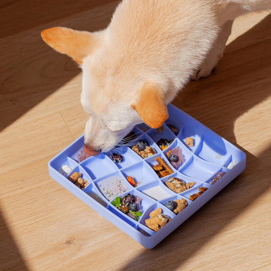 OLLIE B. GOOD wavies slow feeder bowl | cornflower