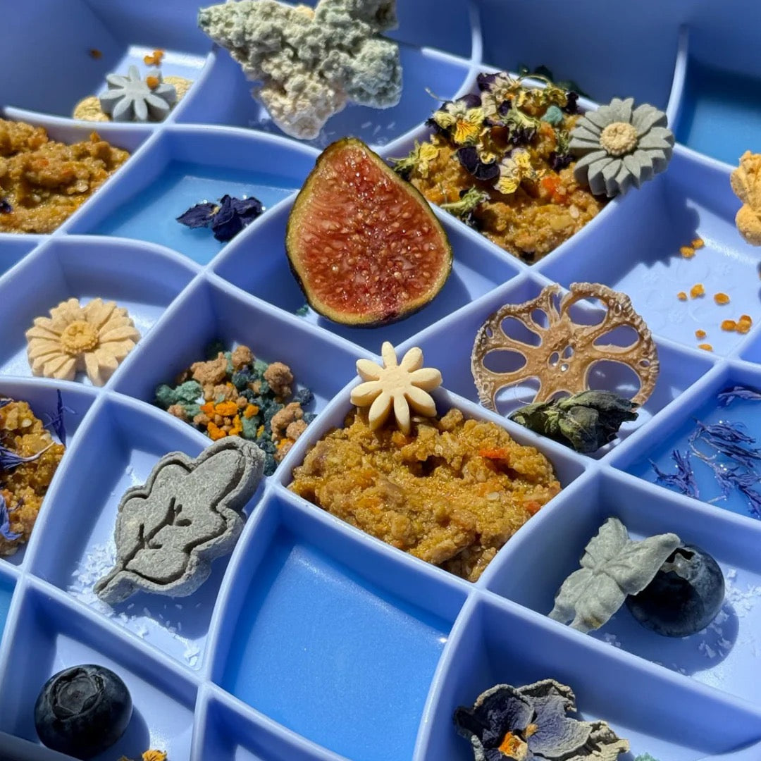 OLLIE B. GOOD wavies slow feeder bowl | cornflower