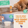 Load image into Gallery viewer, Fam-Pets - Icelandic Wild Caught Fish Oil - 147ml (Spray)
