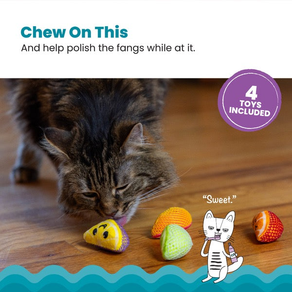 Outward Hound Dental Catnip Fruit Wedges 4PK | Cat