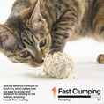 Load image into Gallery viewer, Pidan Tofu Mix Cat Litter 2.4kg (single-pack)
