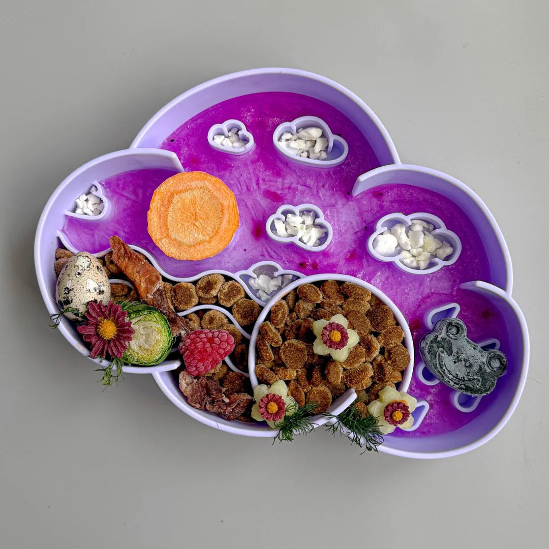 OLLIE B. GOOD cloud slow feeder bowl | viola