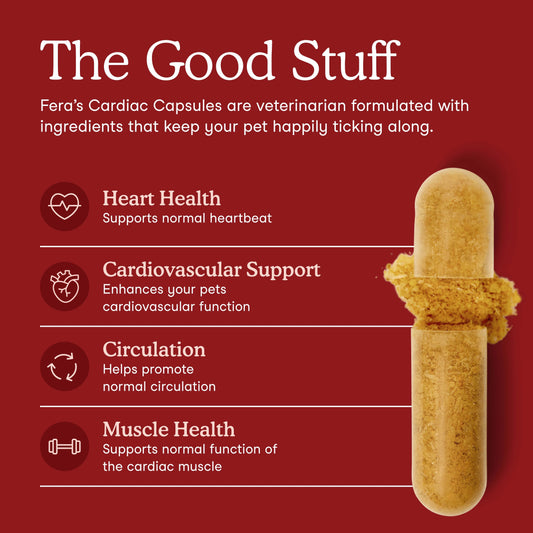 Fera Pets – Cardiac Support for Dogs & Cats – 60 Capsules