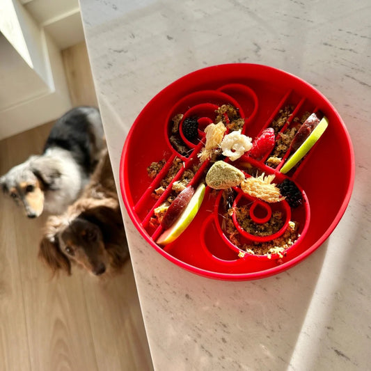OLLIE B. GOOD zoomies slow feeder bowl | cherry