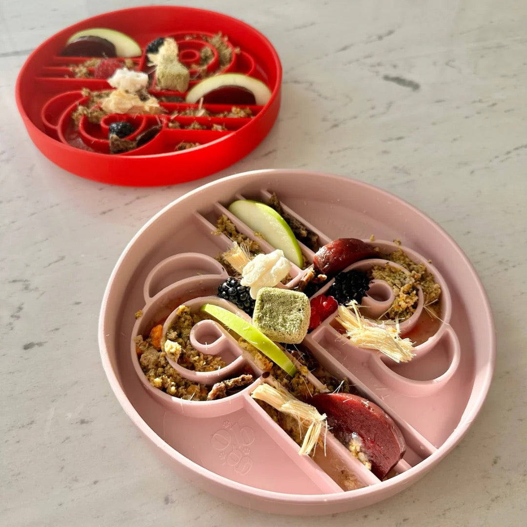 OLLIE B. GOOD zoomies slow feeder bowl | cherry