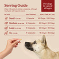 Load image into Gallery viewer, Fera Pets – Cardiac Support for Dogs & Cats – 60 Capsules
