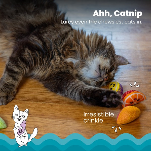 Outward Hound Dental Catnip Fruit Wedges 4PK | Cat