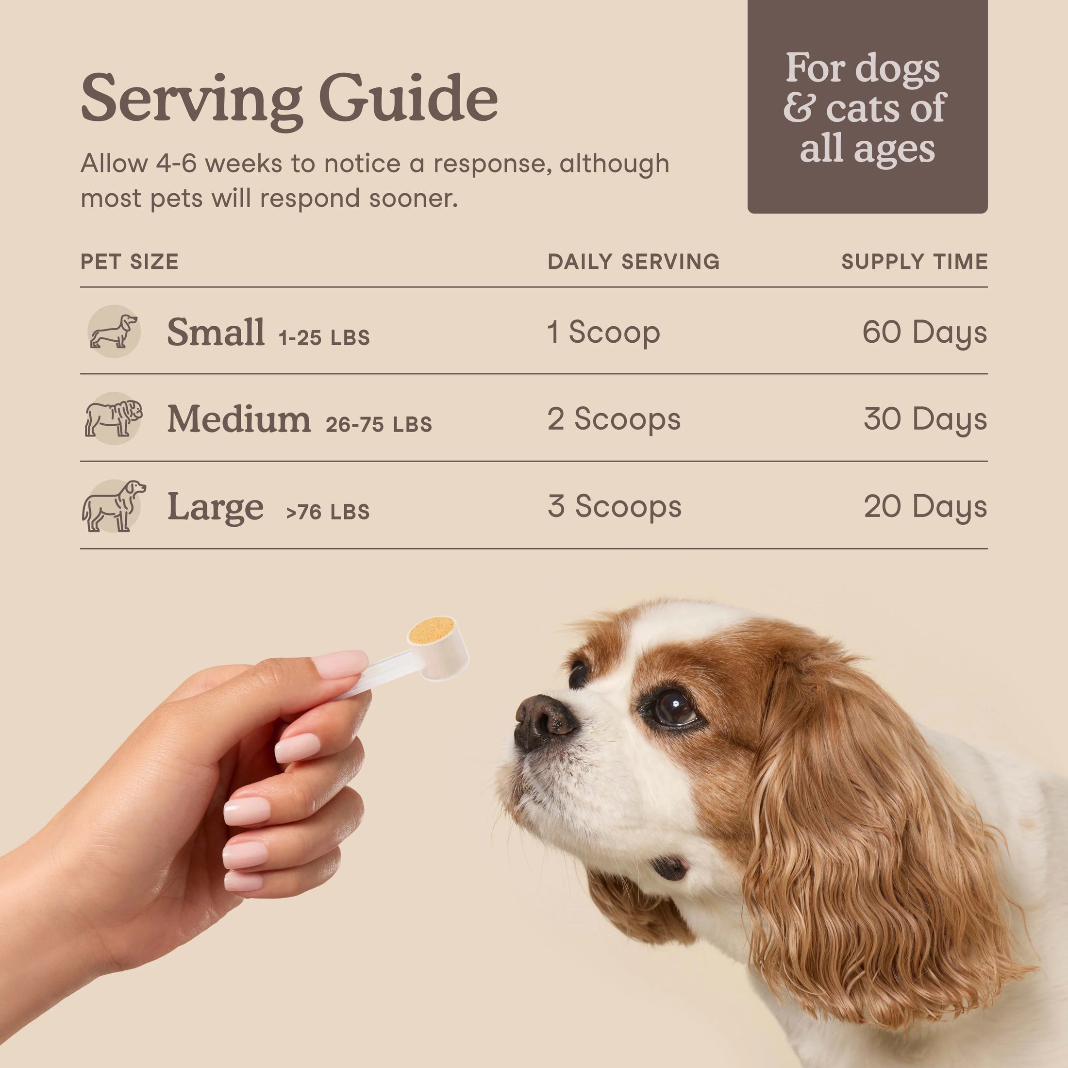 Fera Pets – Liver Support for Dogs & Cats, Powder – 60 Servings
