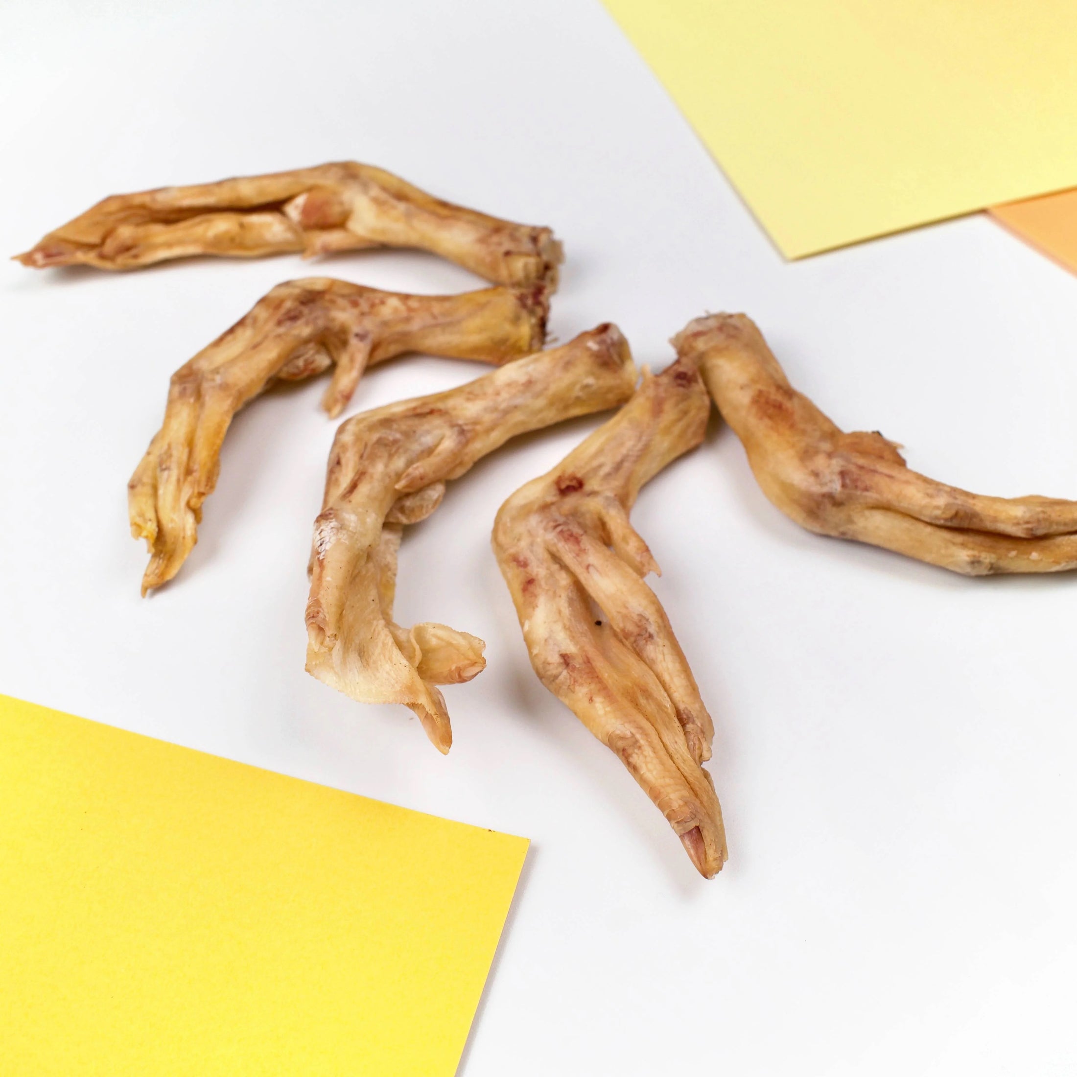 Wiggly Babies Duck Feet Freeze Dried Raw