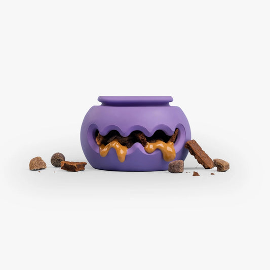 WagLab THE SQUIGGLE
