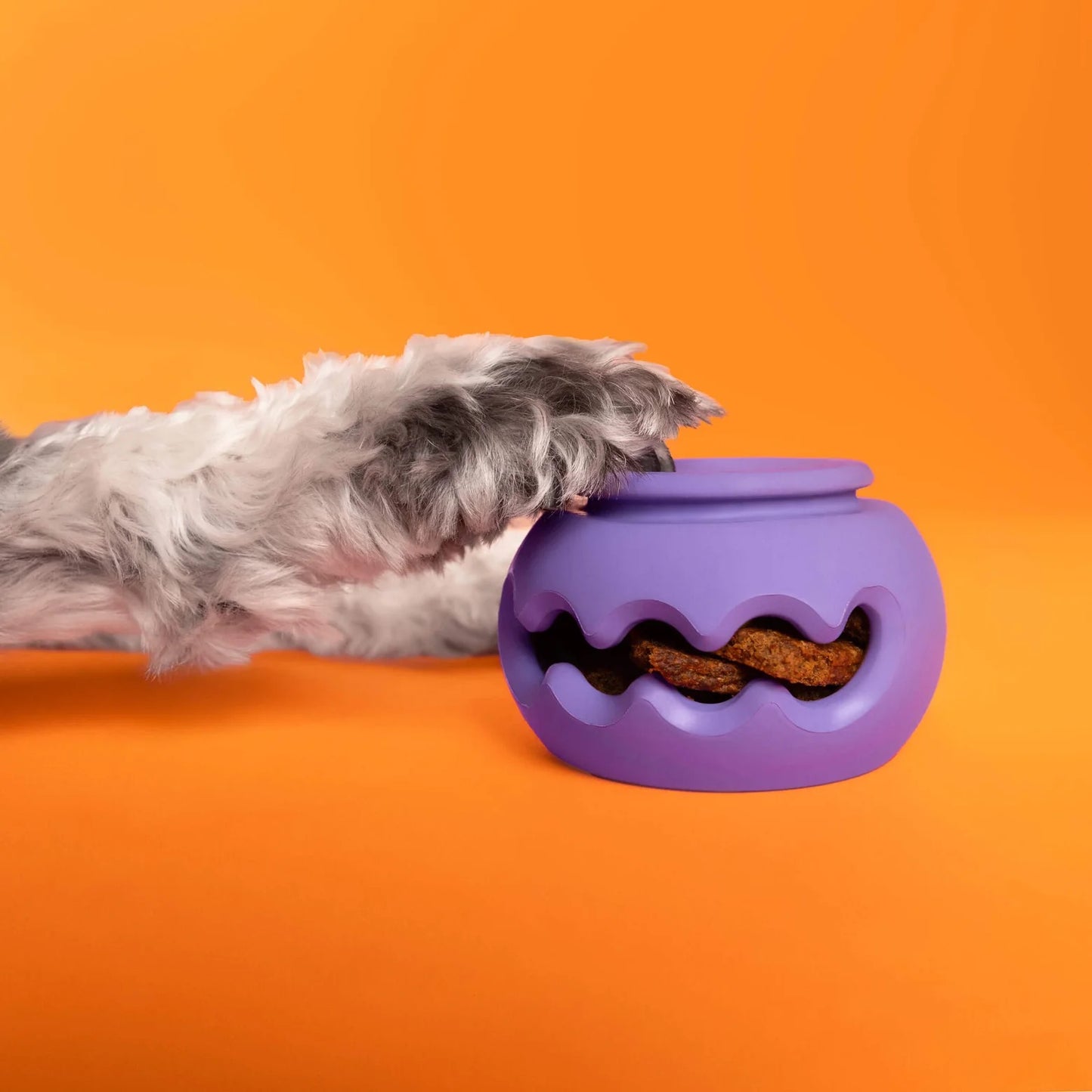 WagLab THE SQUIGGLE
