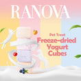 Load image into Gallery viewer, RANOVA Freeze-Dried Yogurt Cubes (Mixed Flavor)

