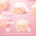 Load image into Gallery viewer, RANOVA Freeze-Dried Yogurt Cubes (Mixed Flavor)
