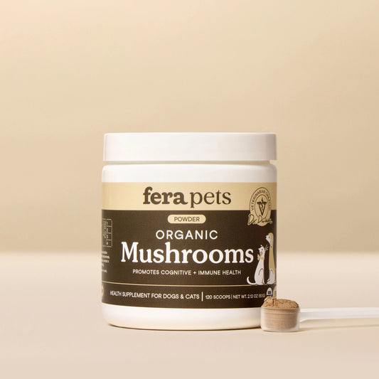 Fera Pets – Organic Mushrooms Immune Support for Dogs & Cats, Powder – 120 Servings