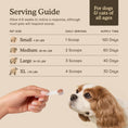 Load image into Gallery viewer, Fera Pets – Organic Mushrooms Immune Support for Dogs & Cats, Powder – 120 Servings
