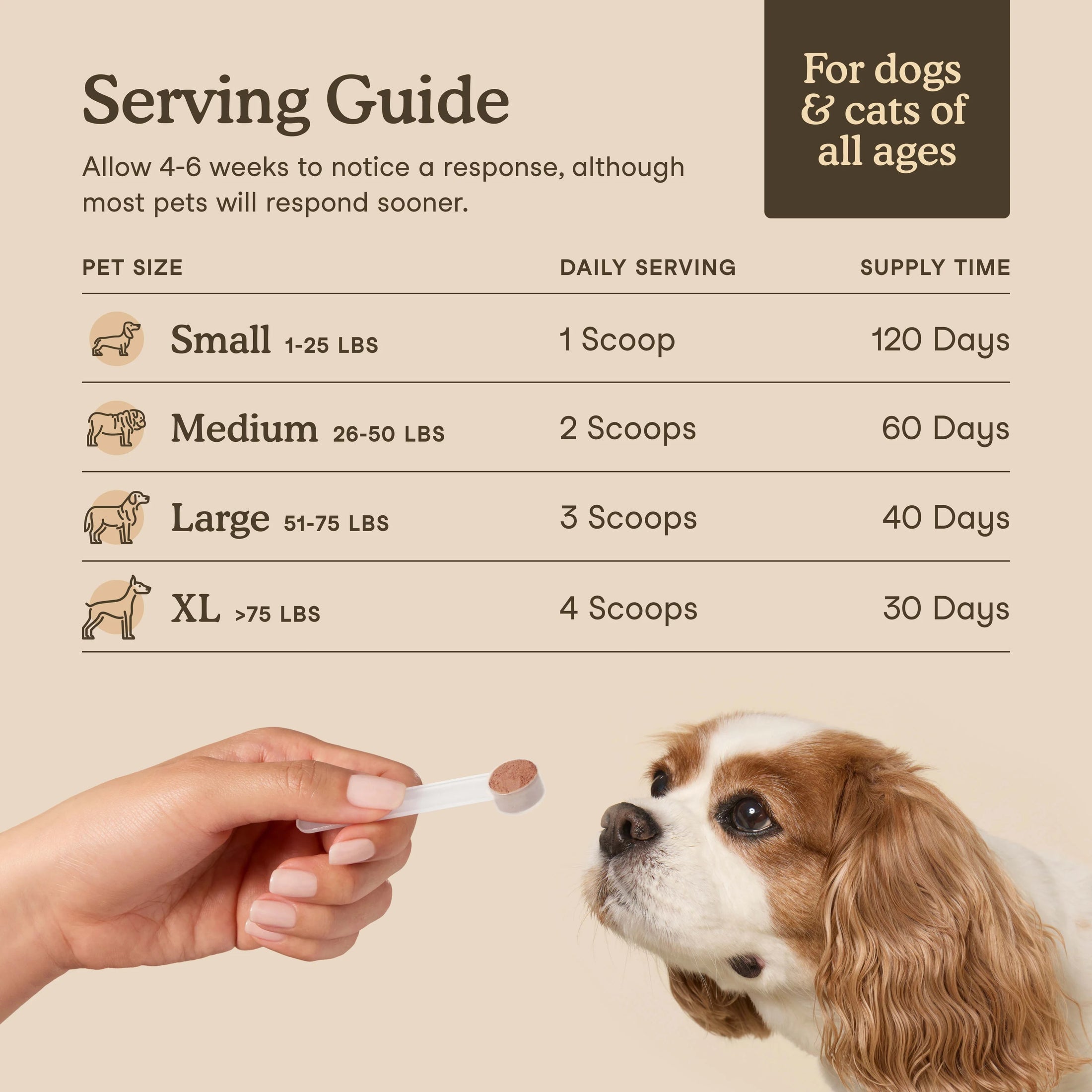 Fera Pets – Organic Mushrooms Immune Support for Dogs & Cats, Powder – 120 Servings