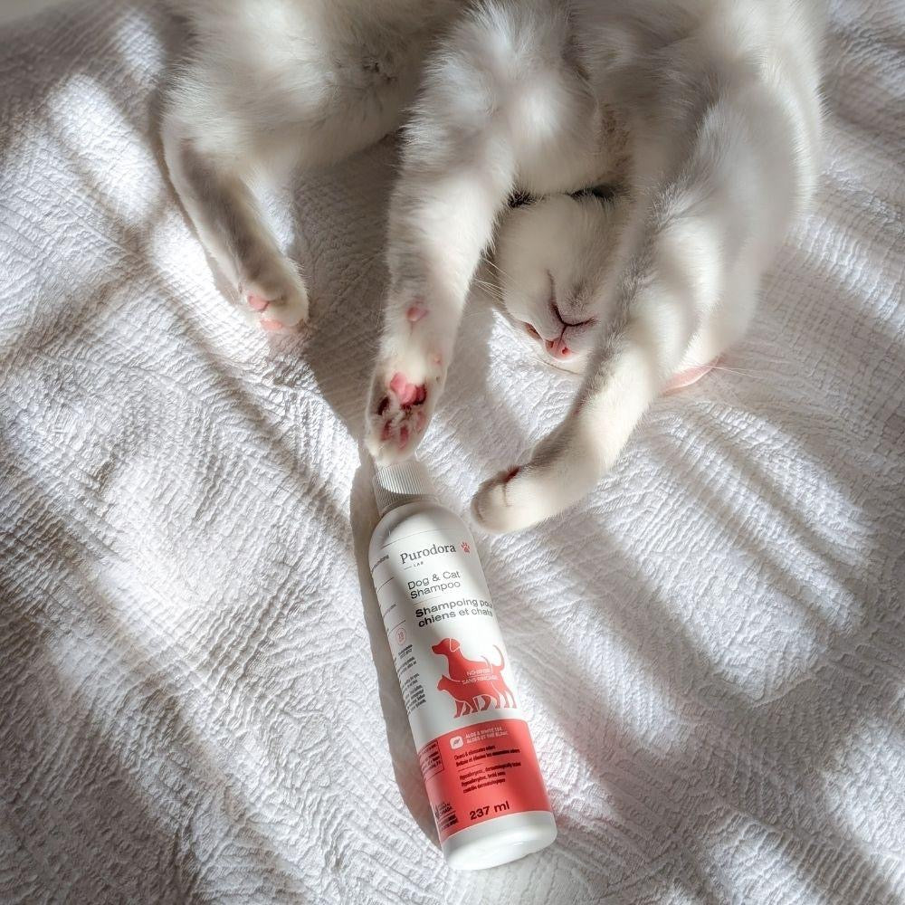 PURODORA NO RINSE Dog & Cat Shampoo Aloe & White Tea 237ml