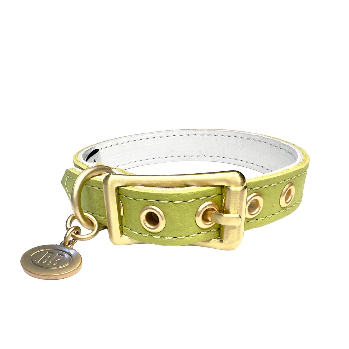 Buddy Belt Collars – Limited Edition