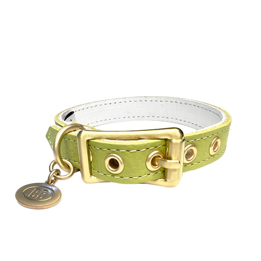Buddy Belt Collars – Limited Edition