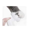 Load image into Gallery viewer, pidan Pet Paw Cleansing Foam, 150 ml per bottle, Unscented
