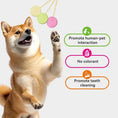 Load image into Gallery viewer, RA NOVA - Freeze-Dried Lollipops For Dogs (Mixed Flavor)
