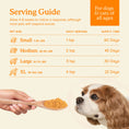 Load image into Gallery viewer, Fera Pets – Organic Pumpkin Plus for Gut Support for Dogs & Cats, Powder – 90 Servings
